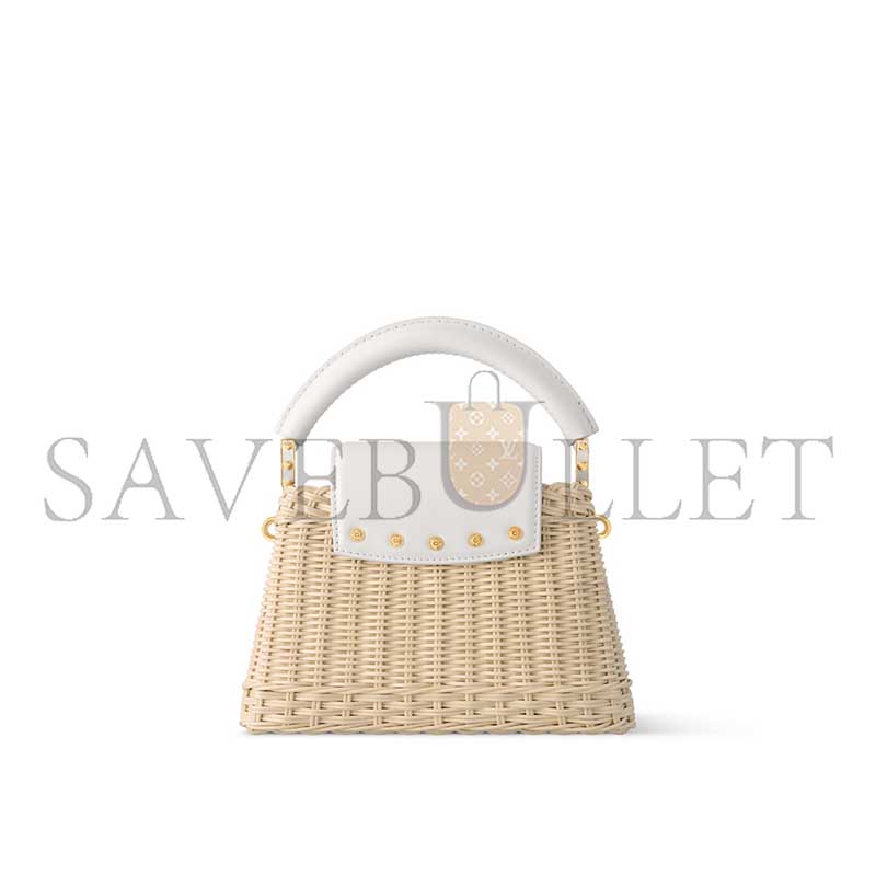 LOUIS VUITTON CAPUCINES MINI M26004 (21*14*8cm) 